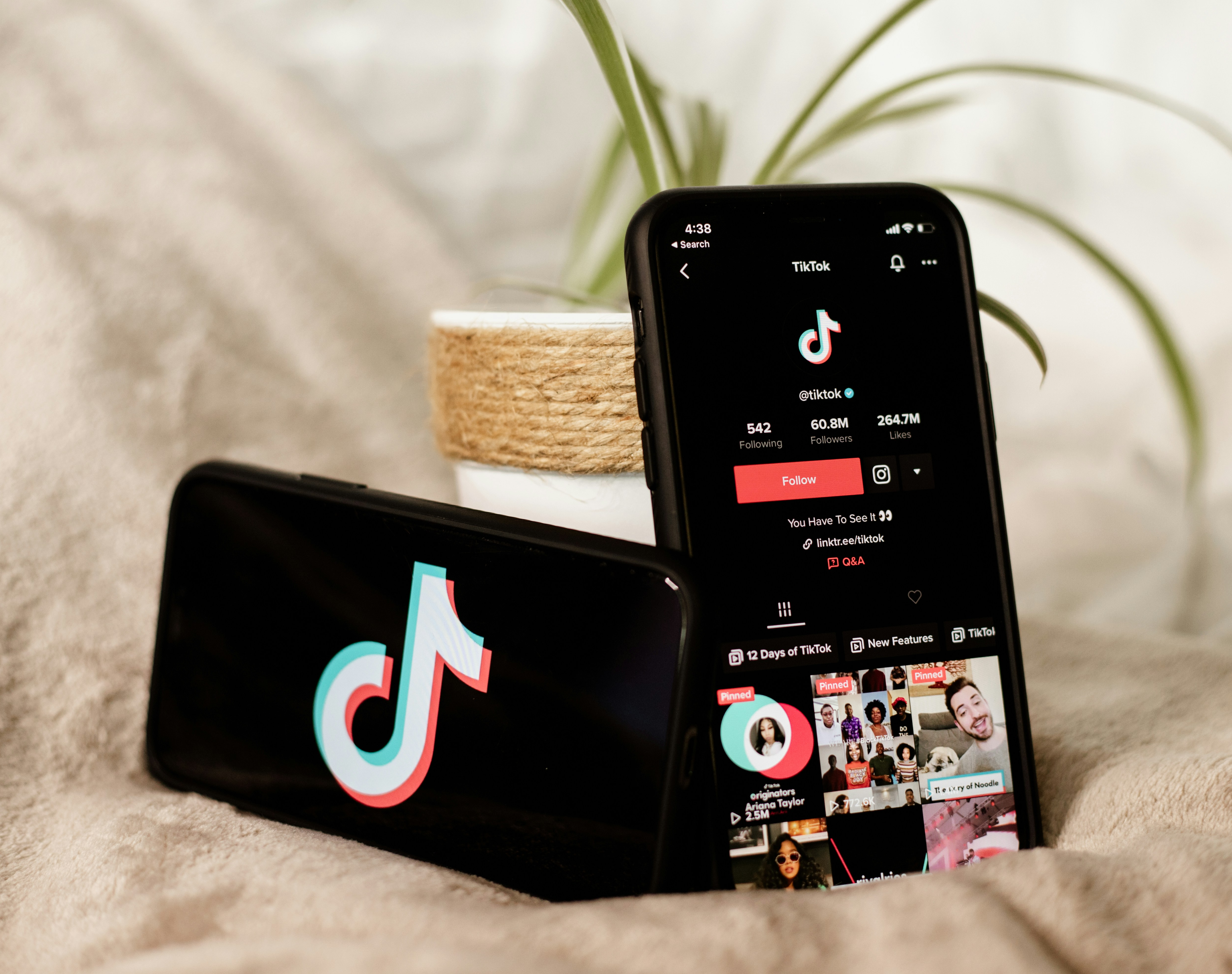 Cara Dapat Uang dari TikTok Pakai Link di Bio HoLink